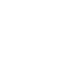 carpetcleaninguy